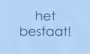 het bestaat